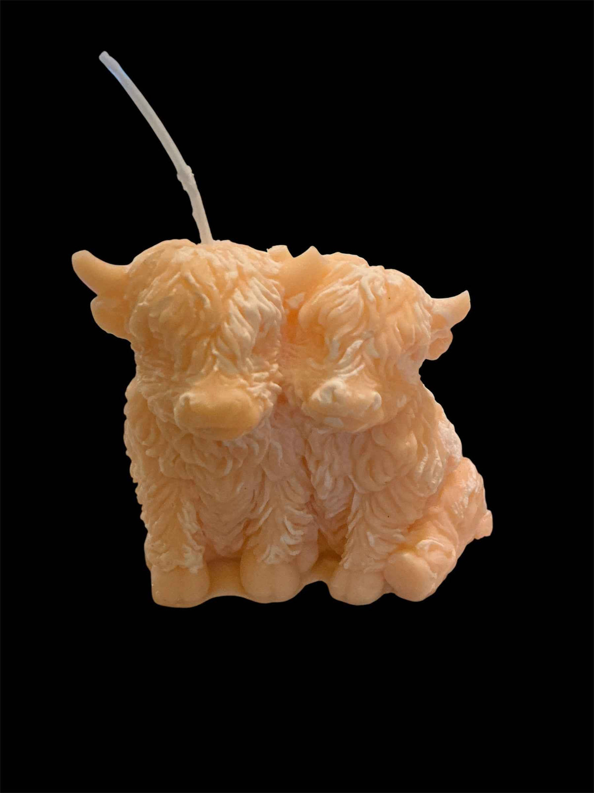 Highland Cow Cuddle- Strawberry & Lily
