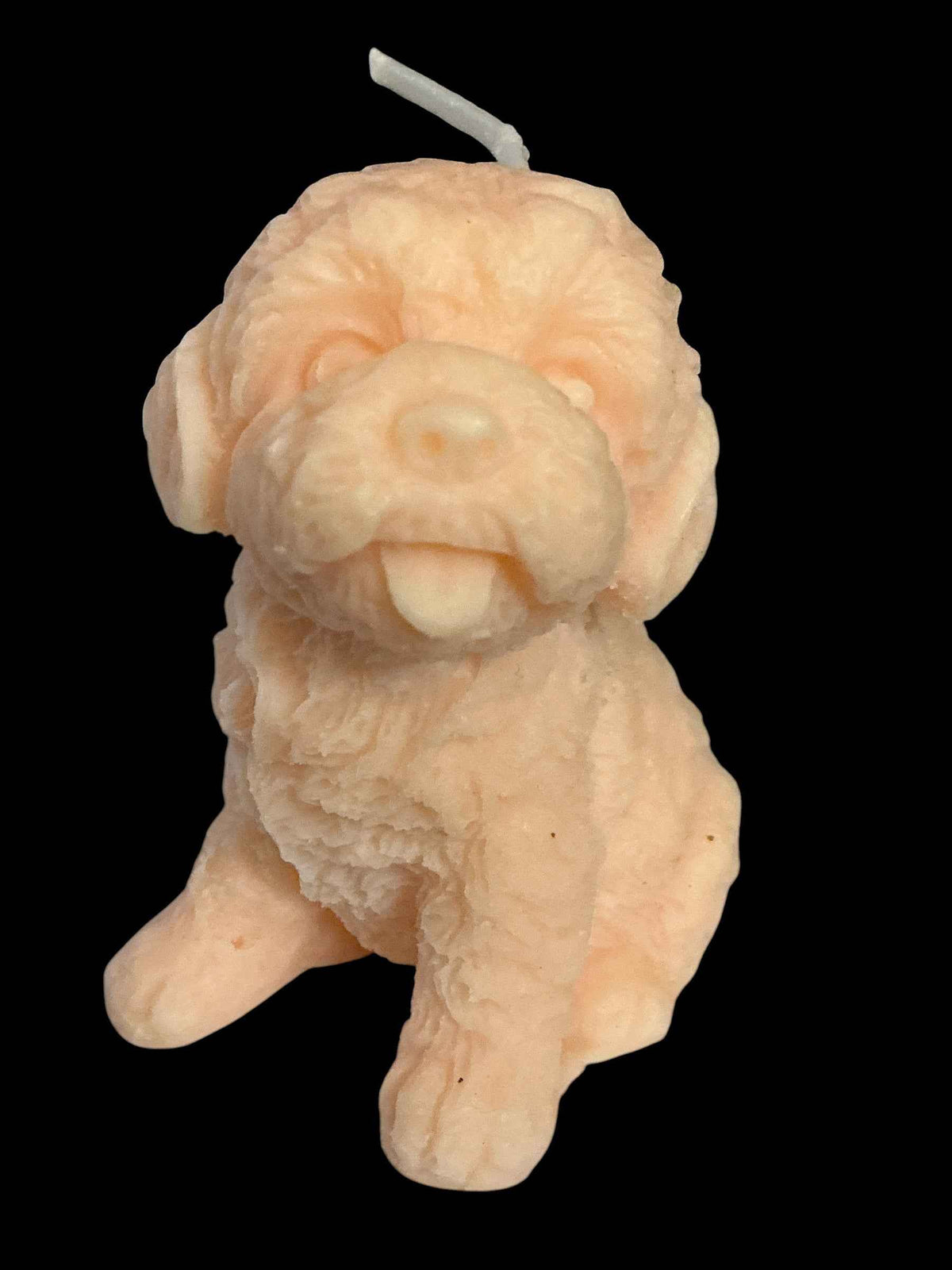 Fluffy Dog - Pomegrante Noir