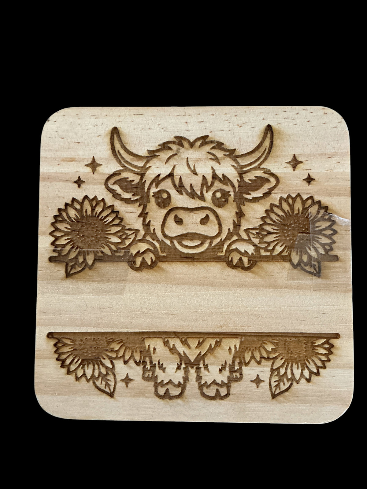 Highland Cow 4