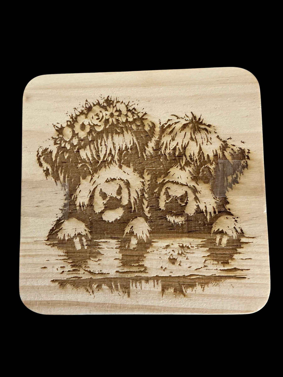 Pair Of Highland Cows