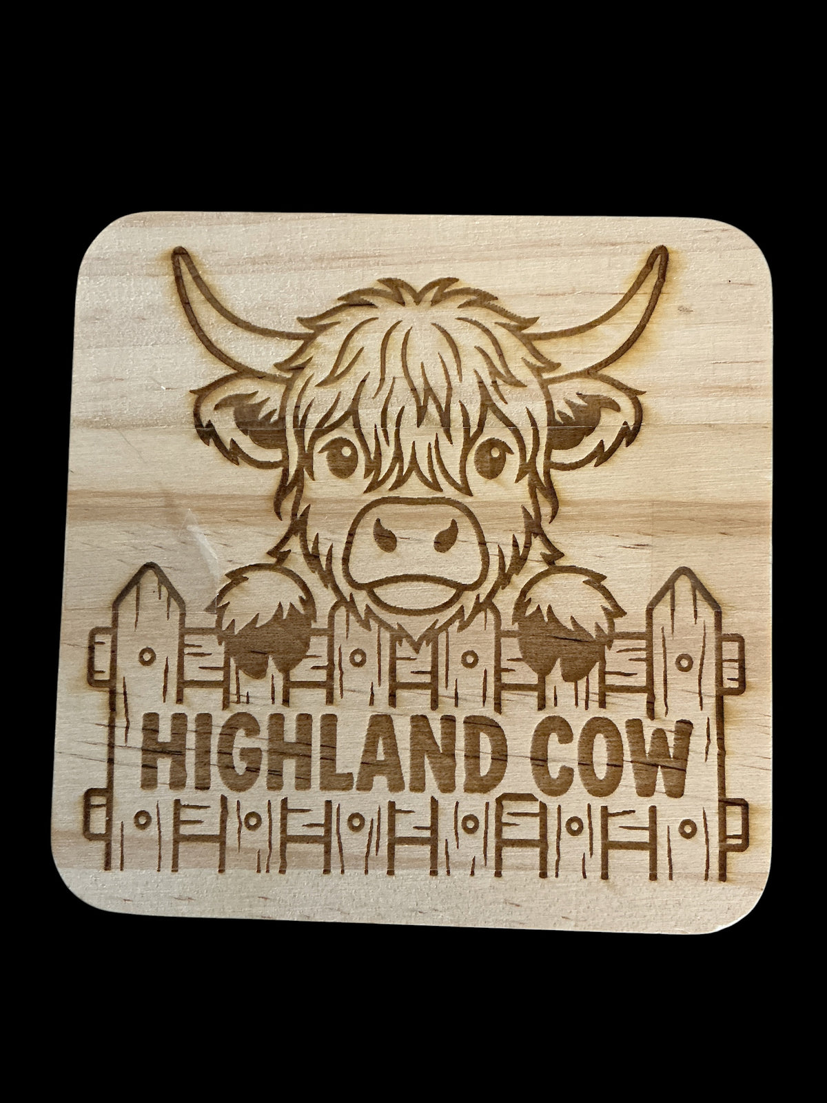 Highland Cow 2