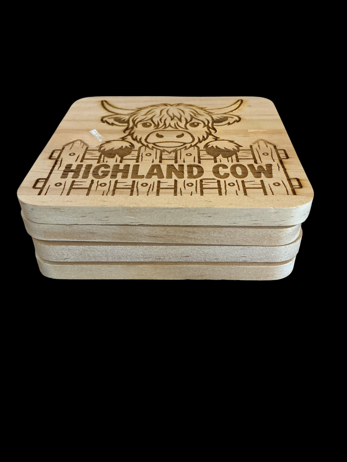 Highland Cow 2