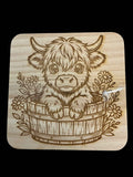 Highland Cow 3