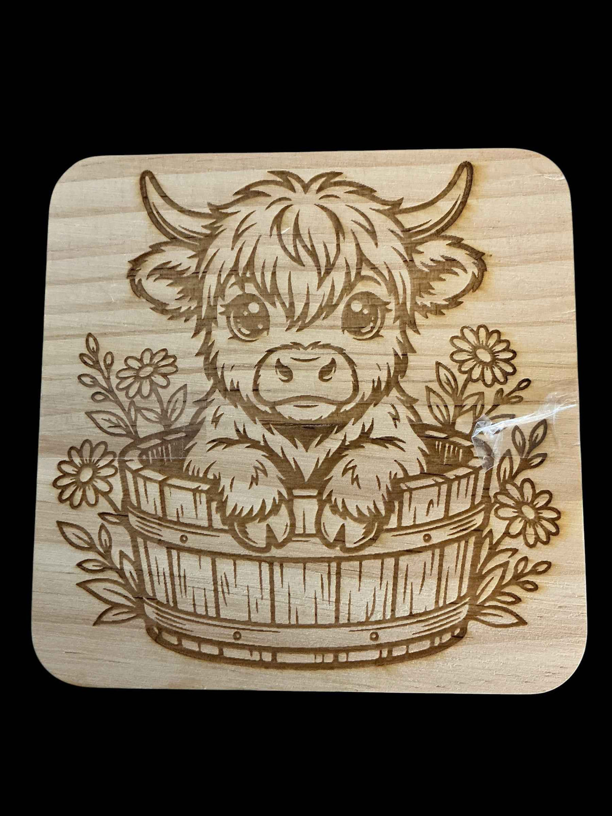 Highland Cow 3