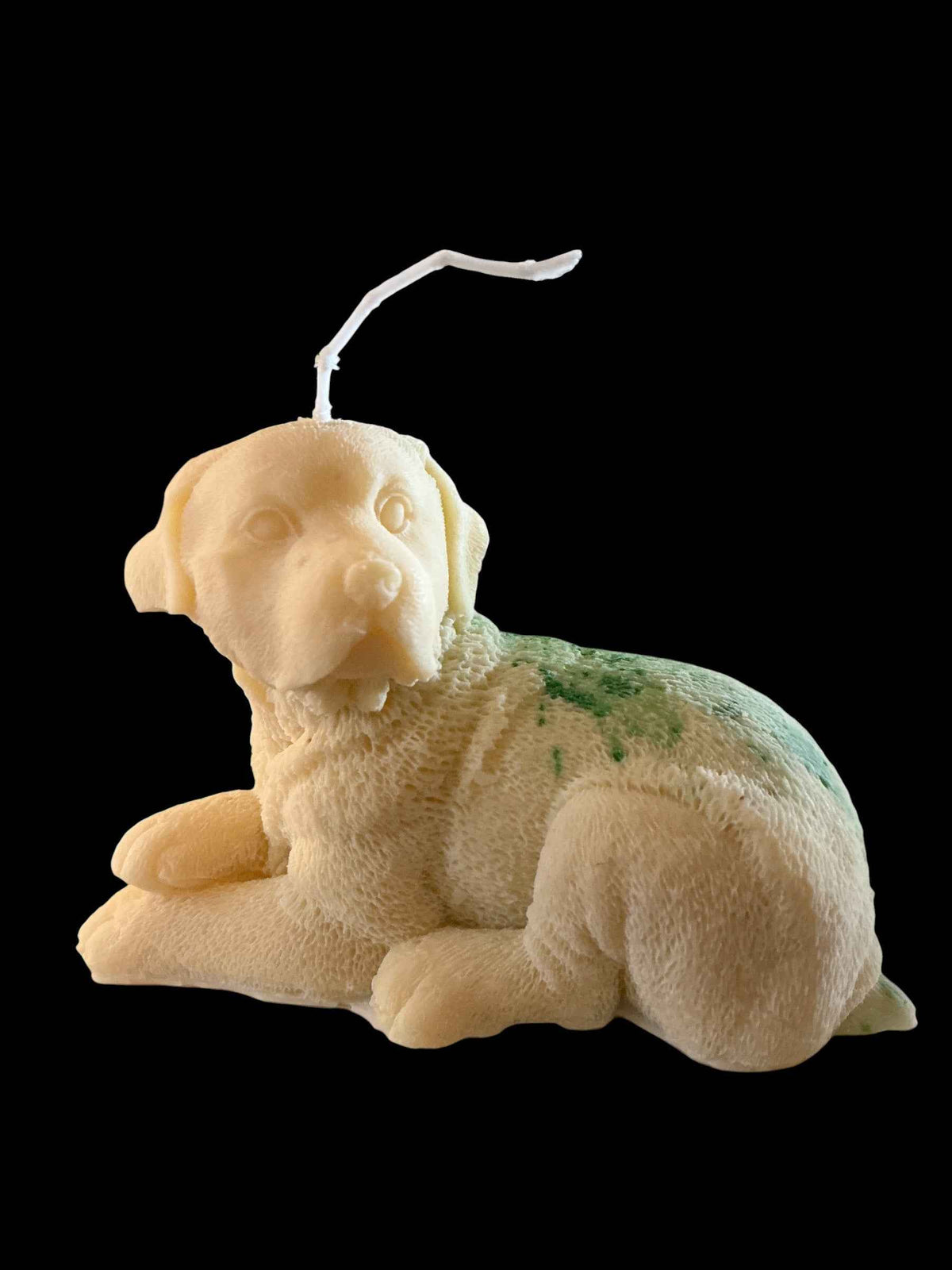 Laying Dog - Toffee Apple