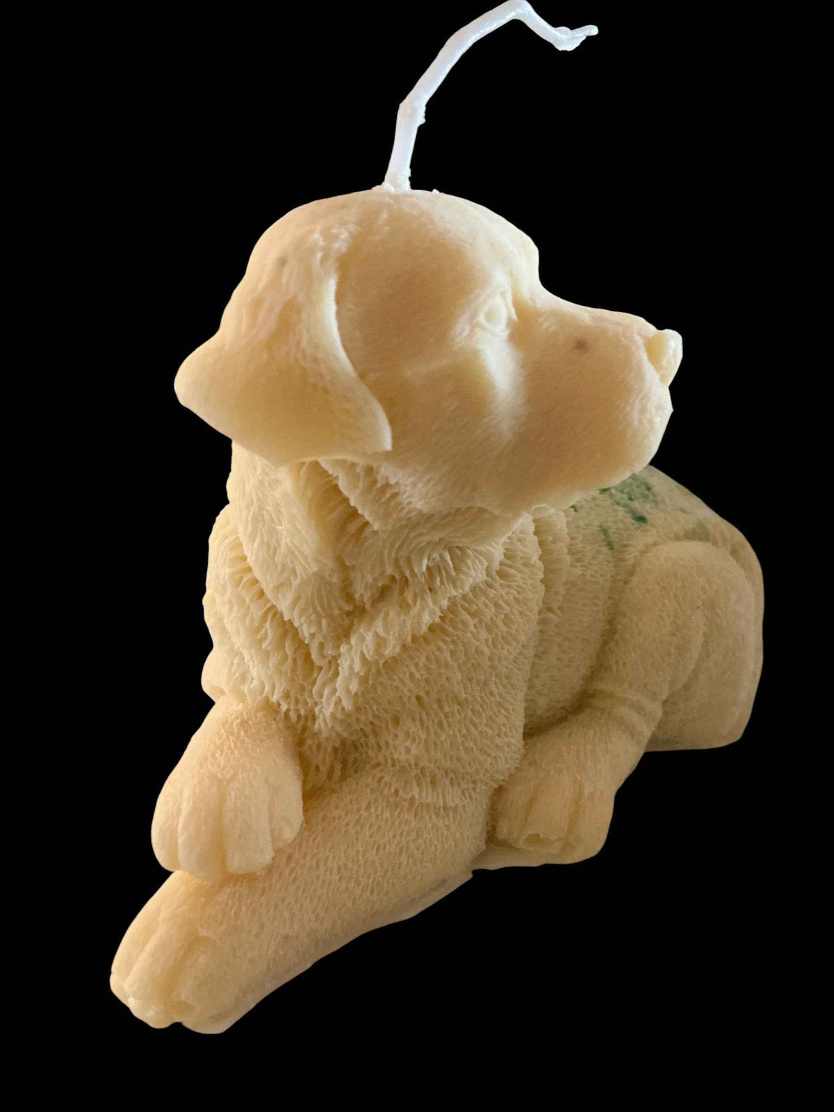 Laying Dog - Toffee Apple