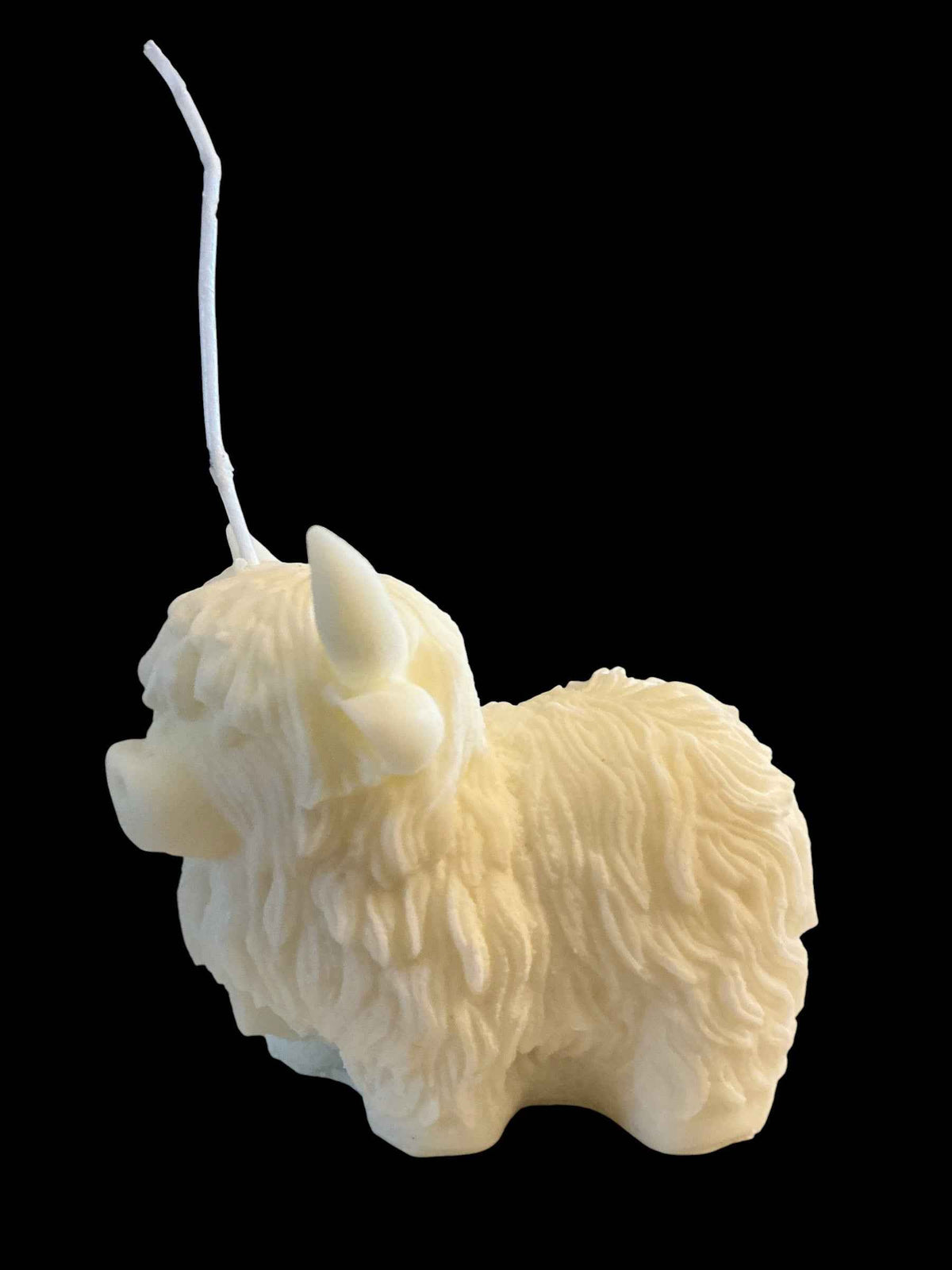 Highland Cow - Coconut & Lemongrass