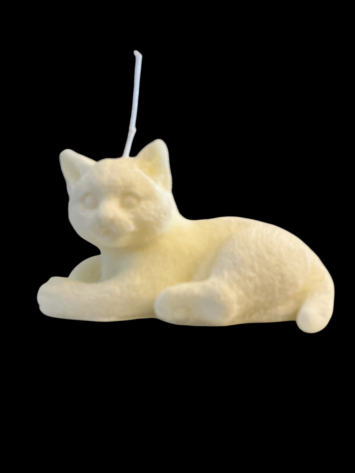 Laying Cat - Coconut & Lemongrass