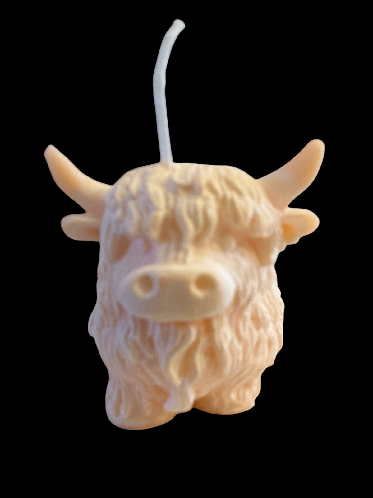Highland Cow - Strawberry & Lily