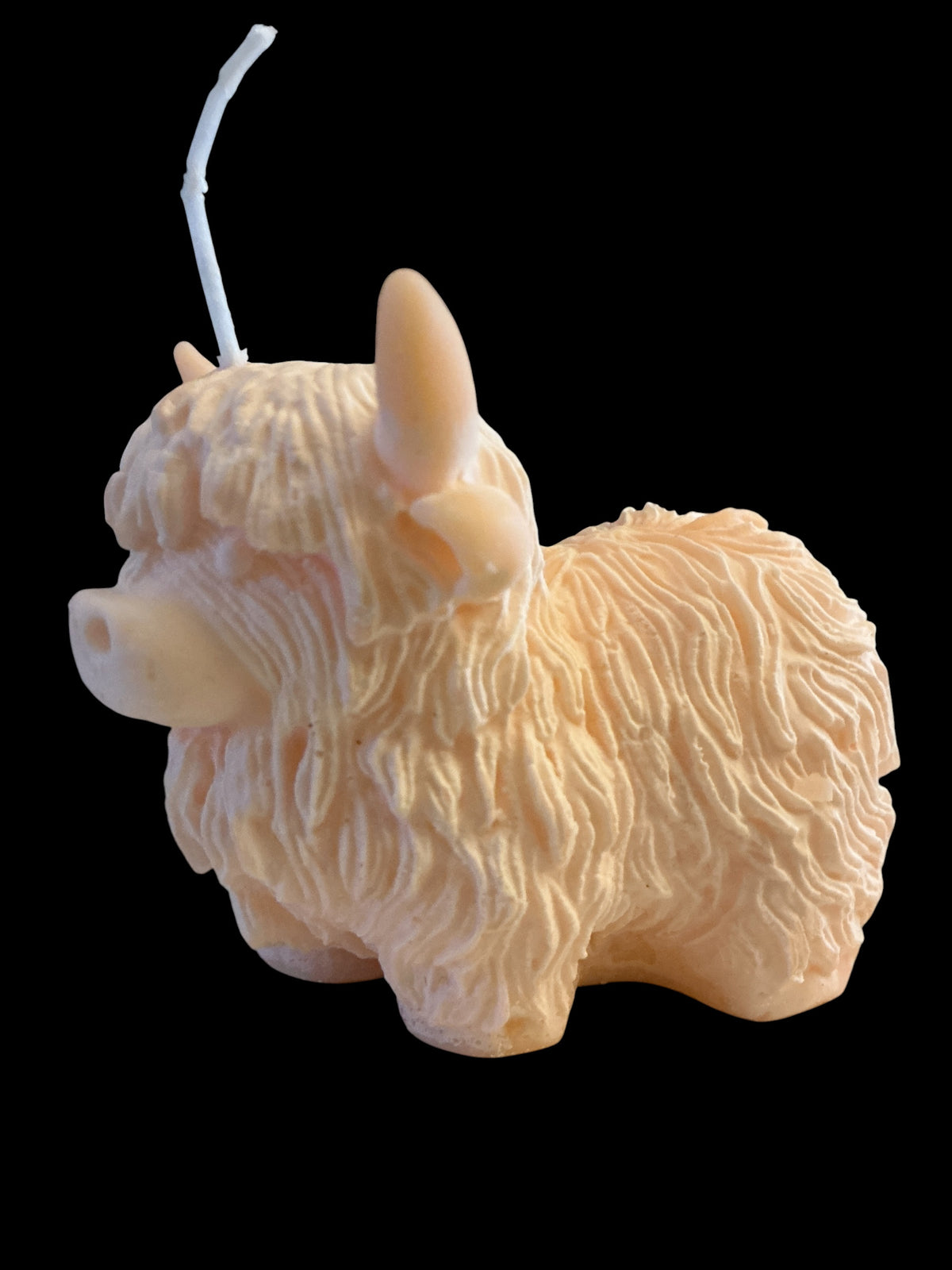 Highland Cow - Strawberry & Lily
