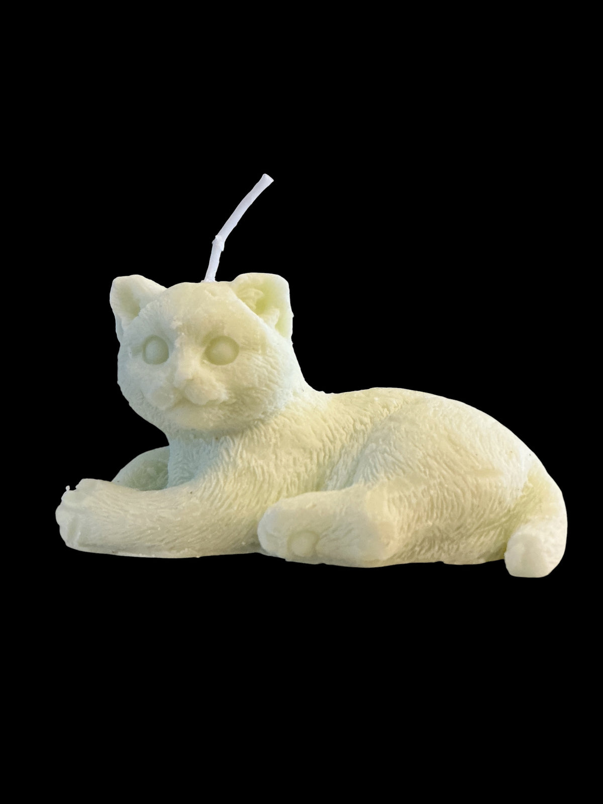 Laying Cat - Alien