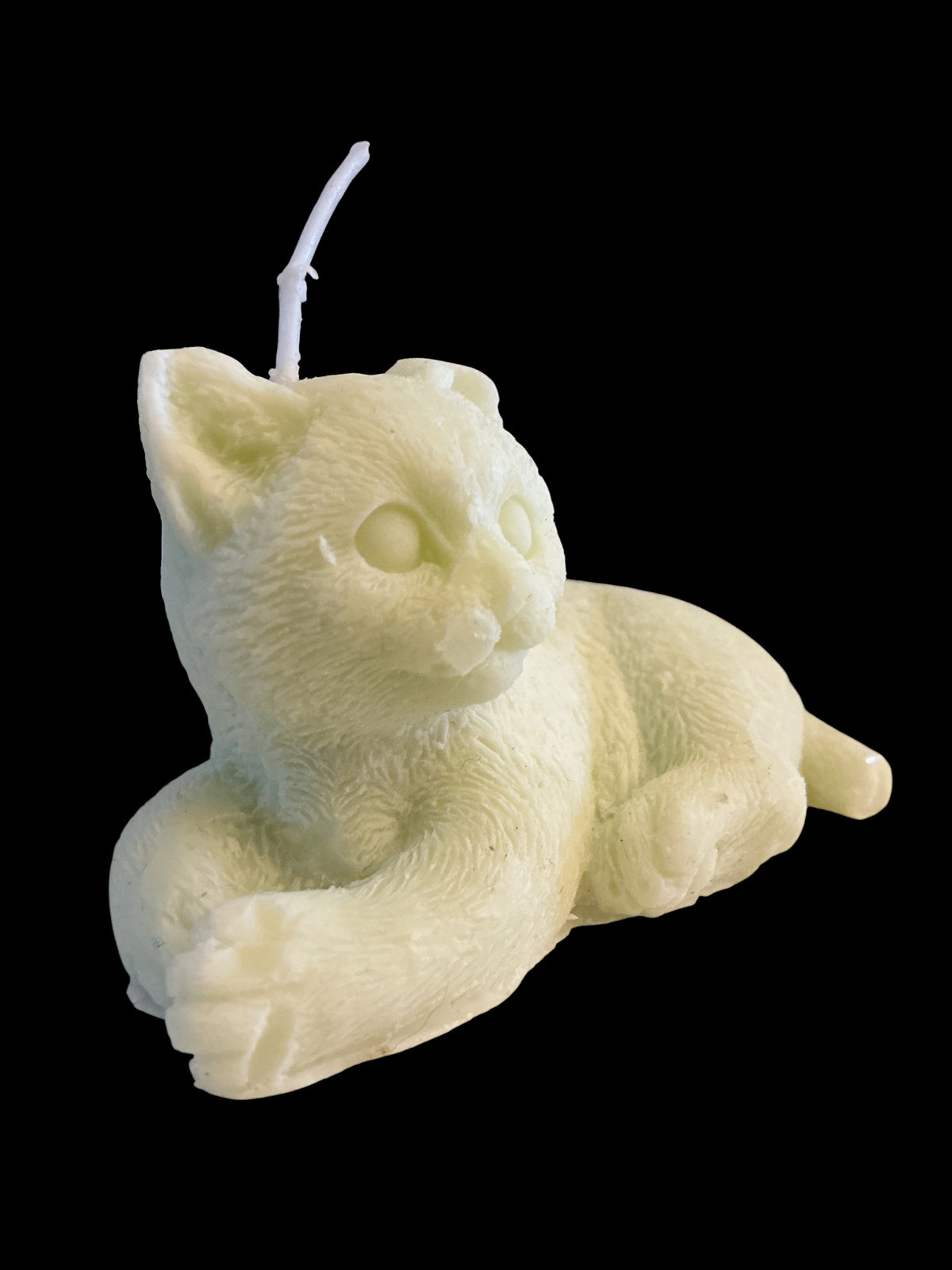 Laying Cat - Alien
