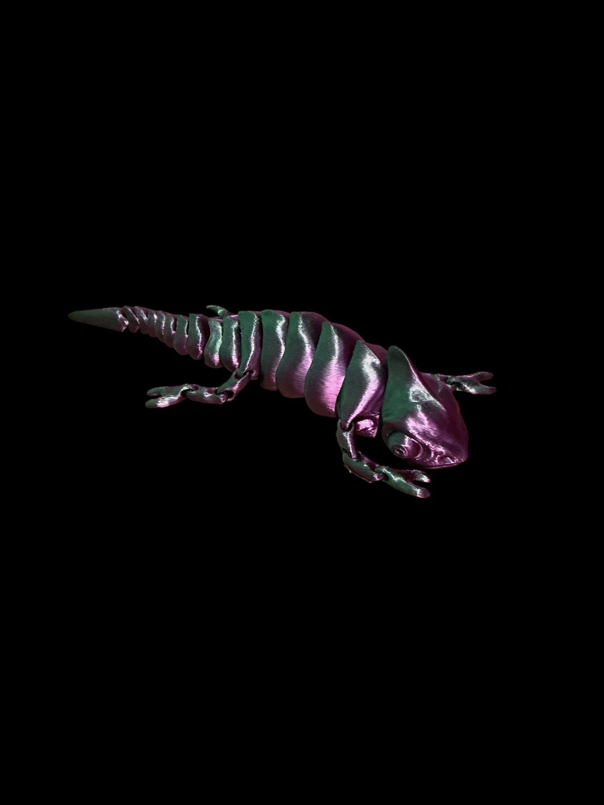 Camelion - Elders Snap Bar